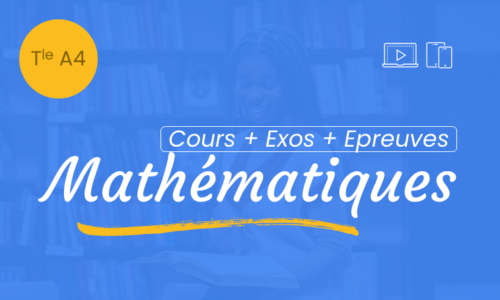 Miniature du cours