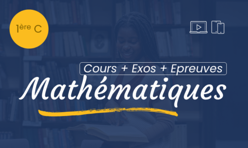 Miniature du cours